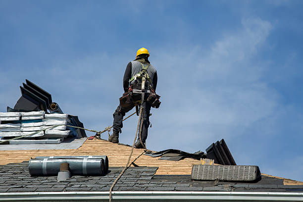 Professional Storm Damage Roof Repair technician working in Prospect Heights, IL