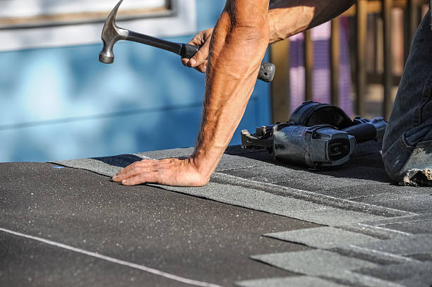 Affordable Storm Damage Roof Repair solutions in Prospect Heights, IL
